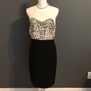 Ann Taylor Loft beautiful business dress size 6!